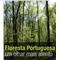 Floresta Portuguesa – um olhar mais atento